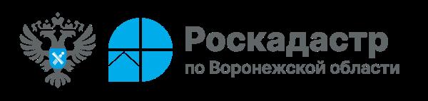 Воронежский Роскадастр подвел итоги 2024 года .