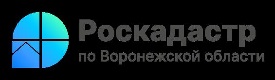 Региональный Роскадастр подвел итоги первого года работы .