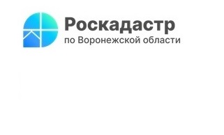 В Воронежской области оцифровано почти 92% землеустроительных документов..