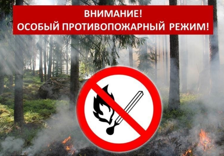 Постановлением Правительства Воронежской области от 28.03.2024 №200 с 1 апреля 2024 года в регионе устанавливается особый противопожарный режим.. Постановлением Правительства Воронежской области от 28.03.2024 №200 с 1 апреля 2024 года в регионе устанавливается особый противопожарный режим..